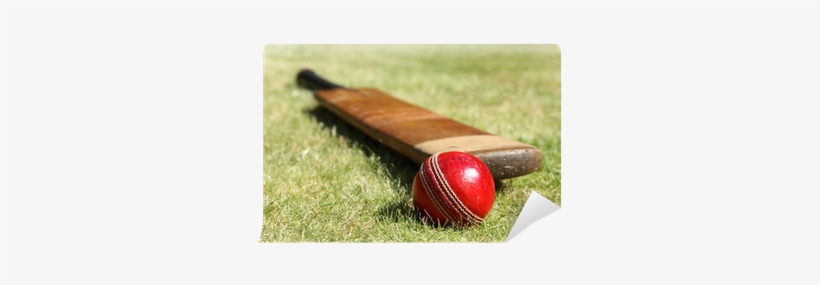 Old Cricket Bat And Ball, transparent png #2553494