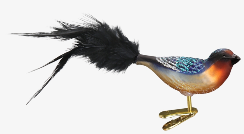 Birds Swallow Pngmart002 Load20180523 Transparent Png - Old World Christmas Clip-on Ornament - Hooded Oriole, transparent png #2553656