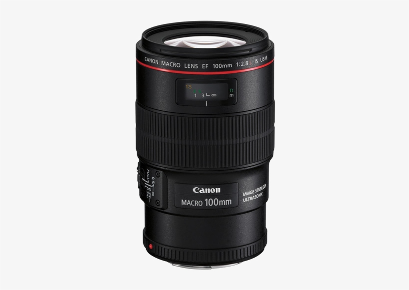 100f - Canon Ef 100mm F/2.8 L Macro, transparent png #2553934