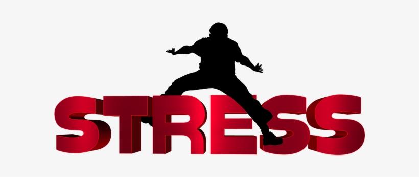 Vector Freeuse Library An Introduction To Mindfulness - Stress And Your Health: Recognize The Signs, Symptoms, transparent png #2554162