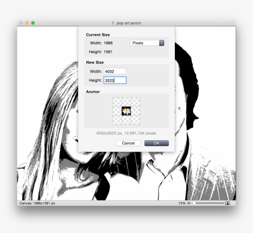 Screen Shot 2015 06 04 At - Pop Art Black And White Photo Editor, transparent png #2555460
