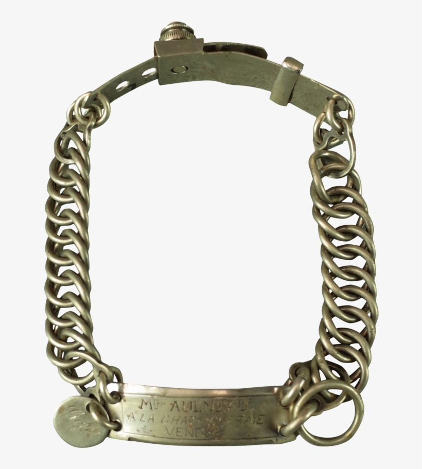 Nickel Dog Collar With Engraved Name Plate - Bracelet, transparent png #2555699