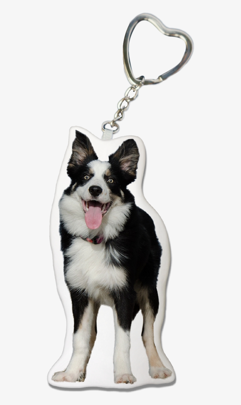 Collie Key-chain - Keychain, transparent png #2555866