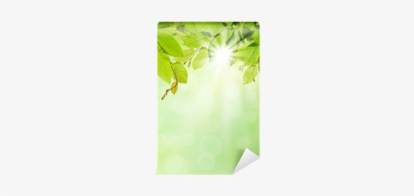 Stock.xchng, transparent png #2555953