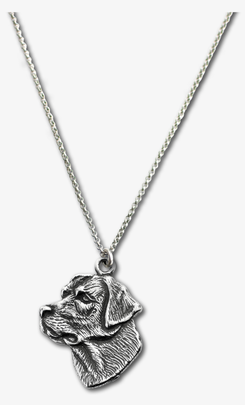 Labrador Charm On Rolo Chain - Setter, transparent png #2556006