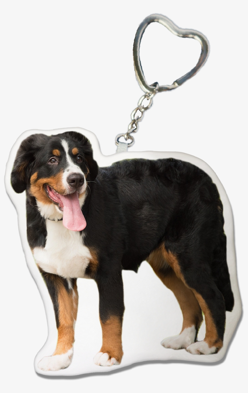 Bernese Mountain Dog Keychain - Bernese Mountain Dog, transparent png #2556128