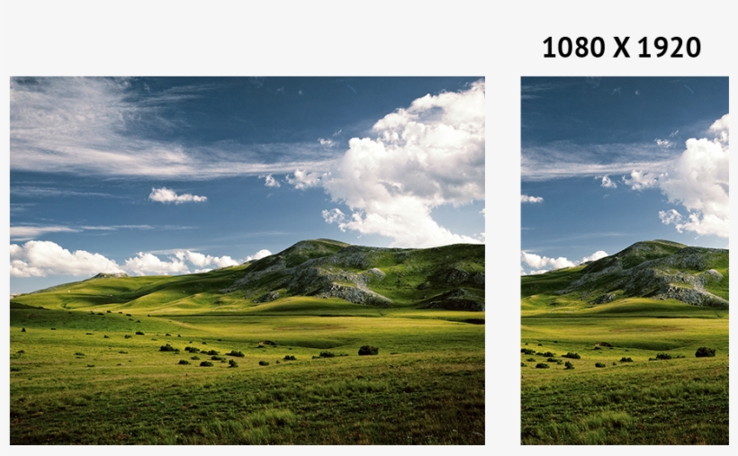 Background Image - Grassland, transparent png #2556130