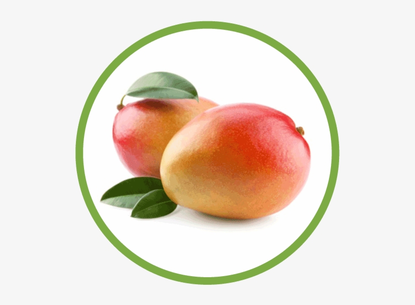Mango-circle - National Symbols Of India Fruit, transparent png #2556209