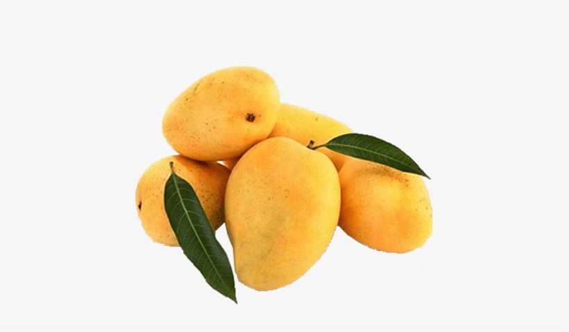 Banganapalli Mango - Natural Mango, transparent png #2556234