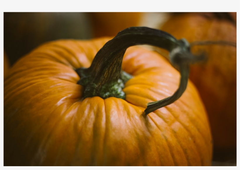 Pumpkin Spice Latte Photograph, transparent png #2556432