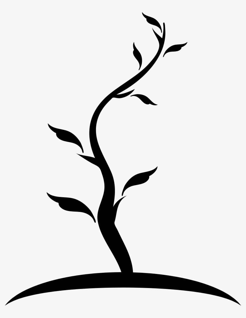 Tree Thin Shape Of Young Trunk With Few Leaves Comments - Tronco Arbol  Dibujo Png - Free Transparent PNG Download - PNGkey, image size:820x1061