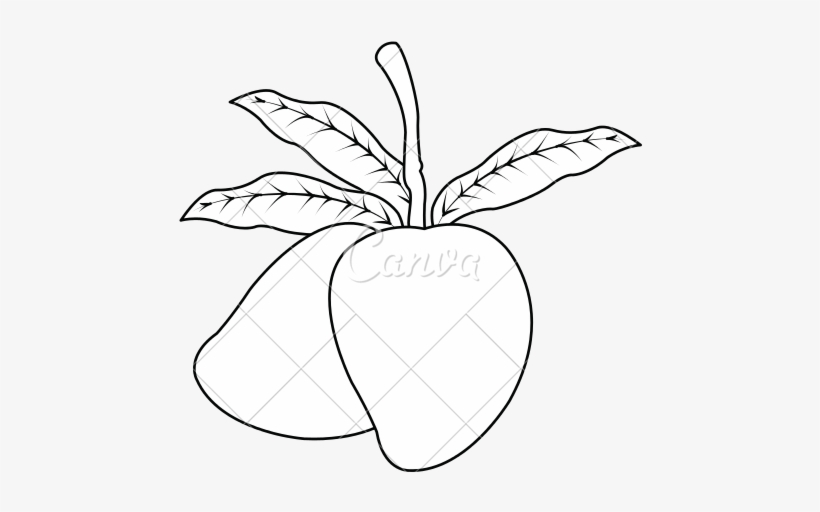 Png Stock Mangoes Drawing At Getdrawings Com Free For - Fruit, transparent png #2556502
