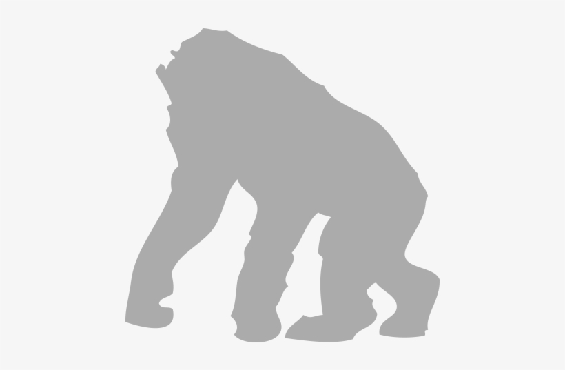 Primates, Monkies - Mountain Gorilla, transparent png #2556553
