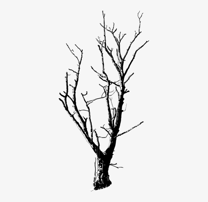 Twig Black And White Branch Tree Plant Stem - Small Trees Black And White Png, transparent png #2556576