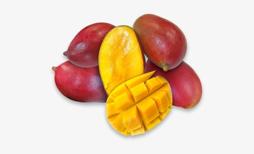Ataulfo, transparent png #2556599