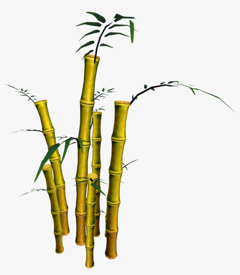 Image - Bamboo, transparent png #2556904