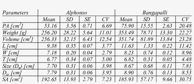 Physical Properties Of Mangoes - Cement, transparent png #2556954