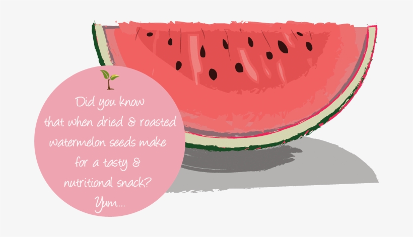 Seed Fact - Watermelon, transparent png #2558158