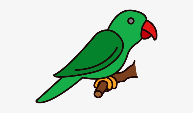 Png Coloured - Parrot, transparent png #2558406