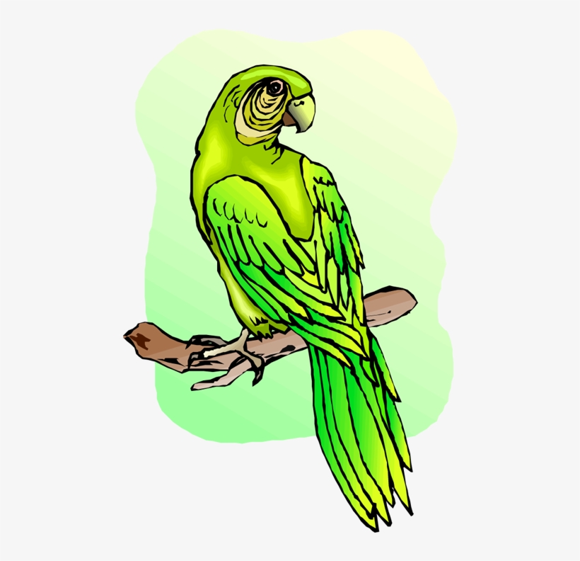 Free Parrot And Macaw Clipart - Macaw, transparent png #2558484