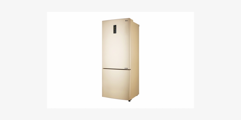 Lg Bottom Freeze Refrigerator, transparent png #2558485