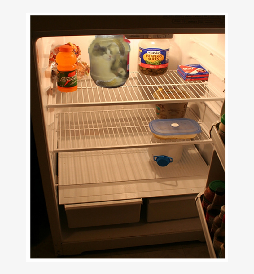 Who The Hell Left Angie In The Fridge Http - Empty Fridge, transparent png #2558842