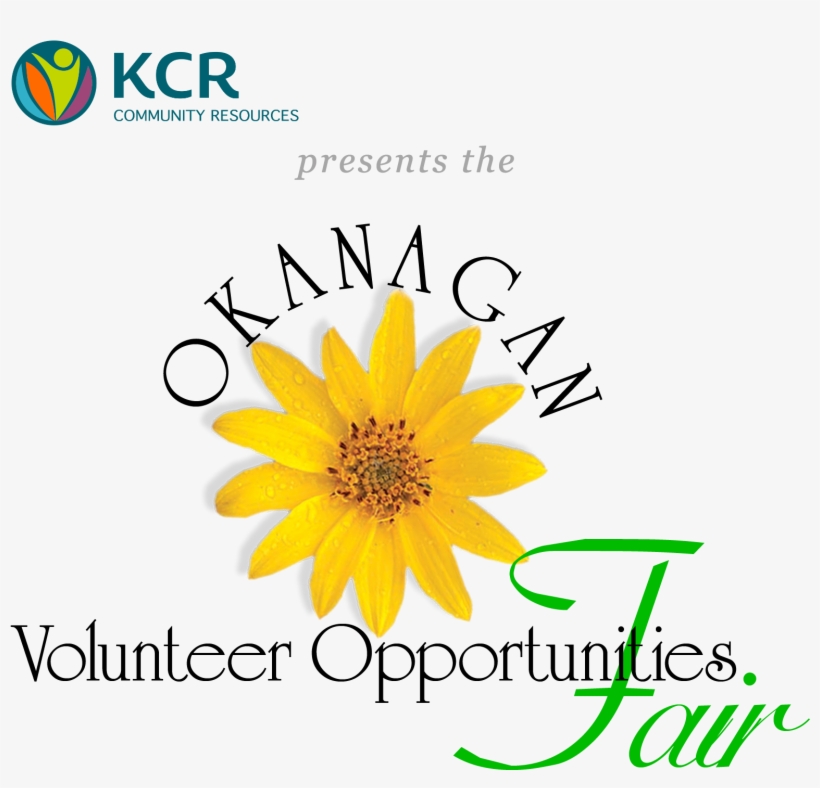 Okanagan Volunteer Opportunities Fair Logo - African Daisy, transparent png #2558863