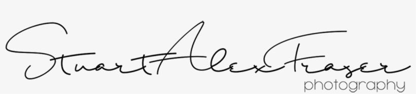 Line Art, transparent png #2561228