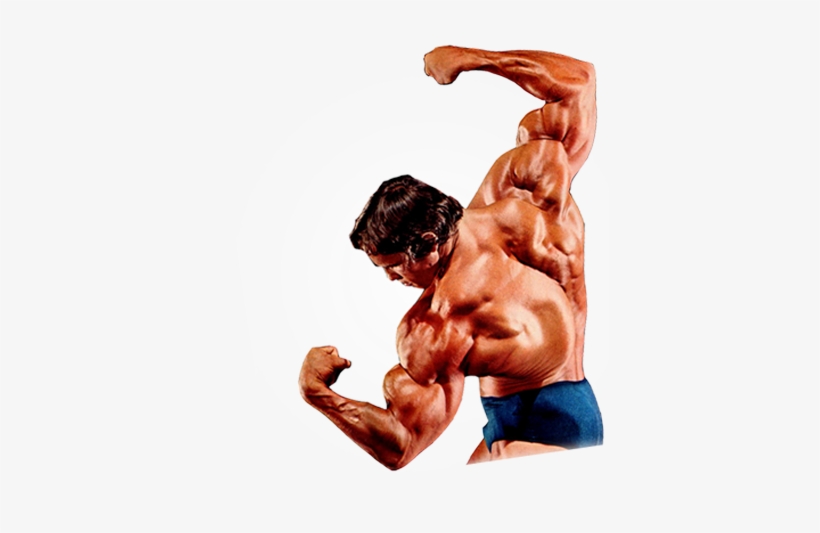 Bodybuilding Transparent Background - Body Builder Arm Png, transparent png #2561584