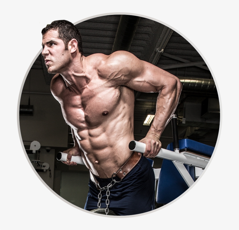 Muscletech Ambassador - Bild, transparent png #2562275