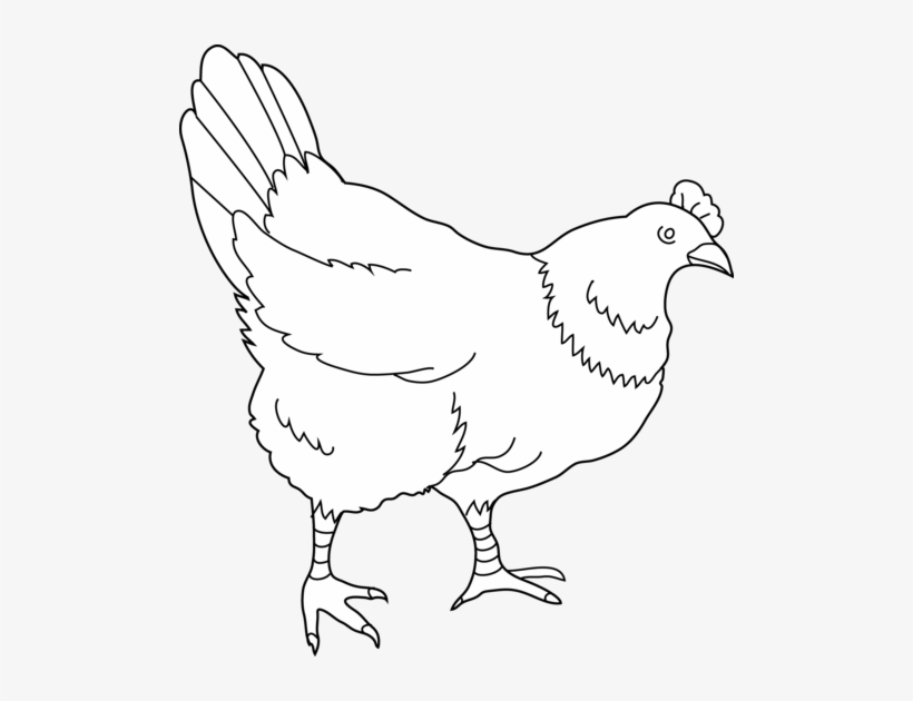 Cute Hen Clipart Free Clipart Image Image - 8 Hens Black And White Clipart, transparent png #2562460
