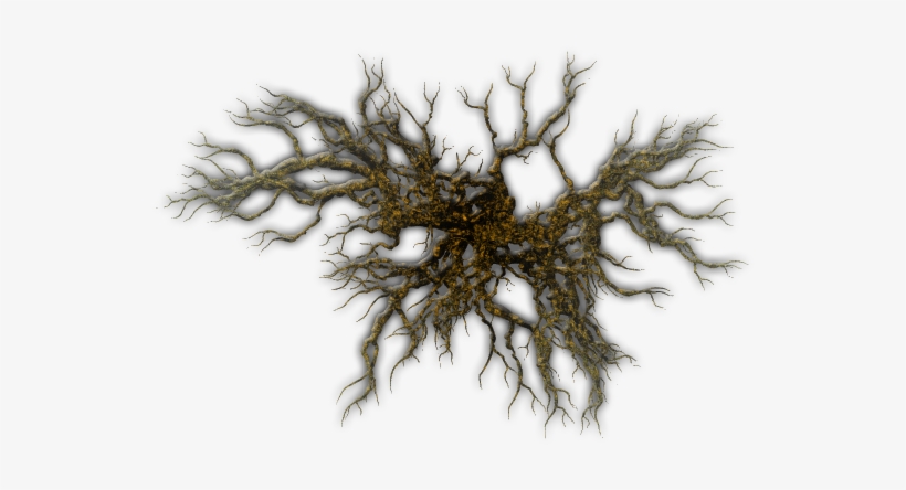 I Also Added A Bevel Effect To Make The Branches A - Tree Top Down Png, transparent png #2562491