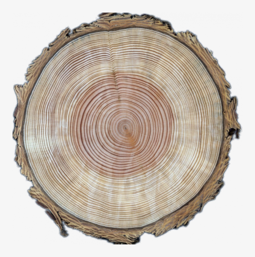 Earth's Hottest Topic Is Just Warming Up, transparent png #2562586