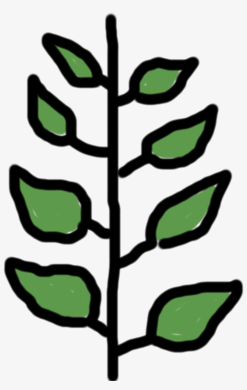 Plant - Tree, transparent png #2562693