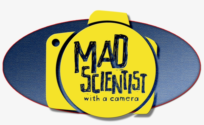 Mad Scientist Wth A Camera Logo, transparent png #2563338
