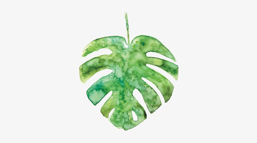 Widget Image, transparent png #2563435
