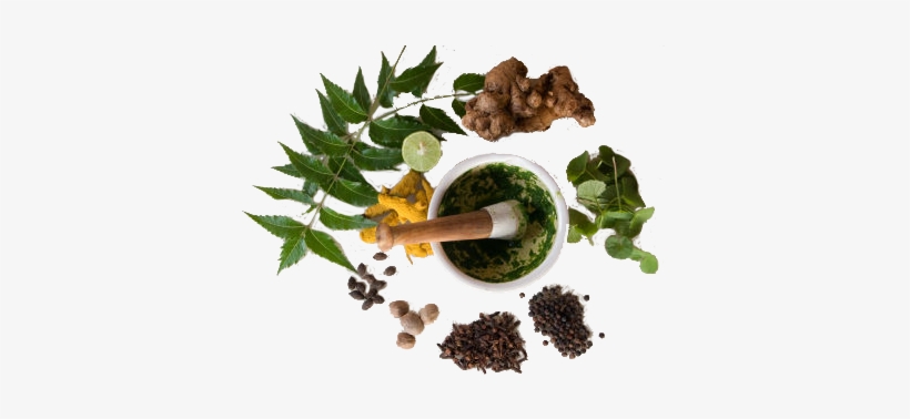 About Kankayan Ayurved Mahachikitsalay - Natural Remedies For Beginners: How To Protect, Cure, transparent png #2563722