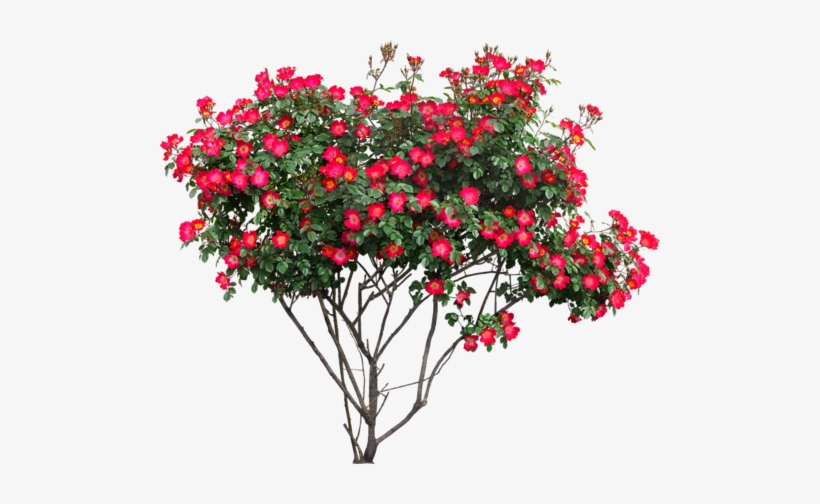 Photoshop Images, Tree Photoshop, Landscape Elements, - Flower Tree Png Hd, transparent png #2563981