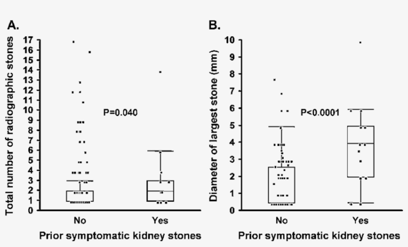 Among 210 Potential Kidney Donors With Kidney Stones - Kidney Stone, transparent png #2564699