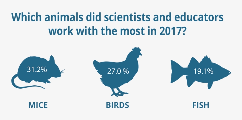 In 2017, Scientists And Educators Worked With These - Scientist, transparent png #2564871