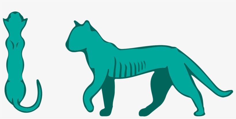 Pet, transparent png #2564898