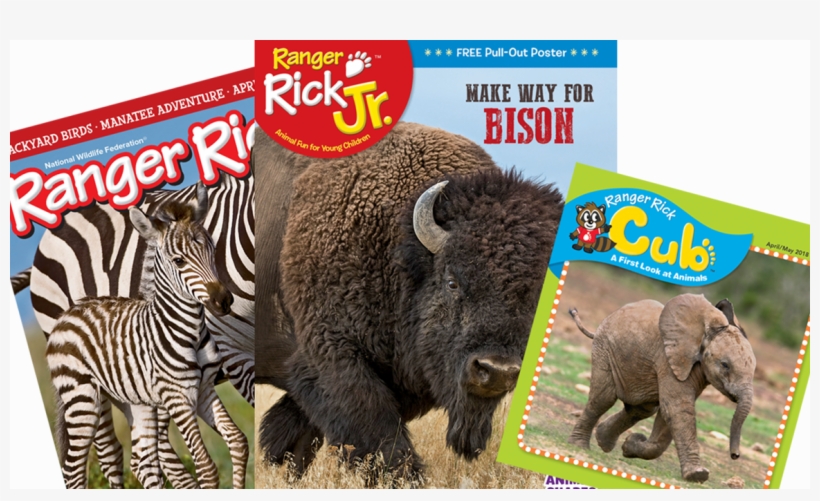 Ranger Rick Jr. - One Year Subscription, transparent png #2564933