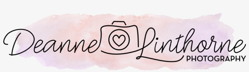 Photography, transparent png #2565291