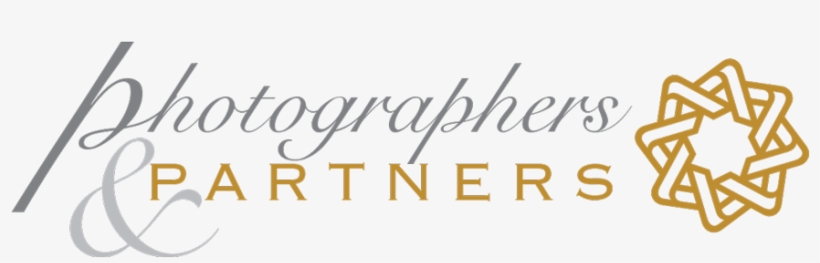 Photographers And Partners - White Couple Ampersand Throw Pillow 20"x20" - Surya, transparent png #2565429