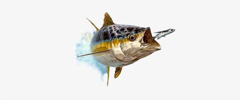 Taken From The Real Life Imagery Of Don Ray's Artwork - Don Ray - Approaching Front - Yellow Fin Tuna, transparent png #2566709