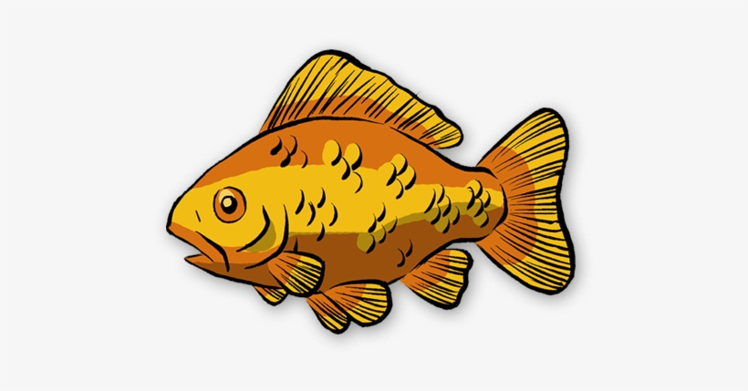 You're Now Ready To Go Fishin For Real - Goldfish, transparent png #2567100