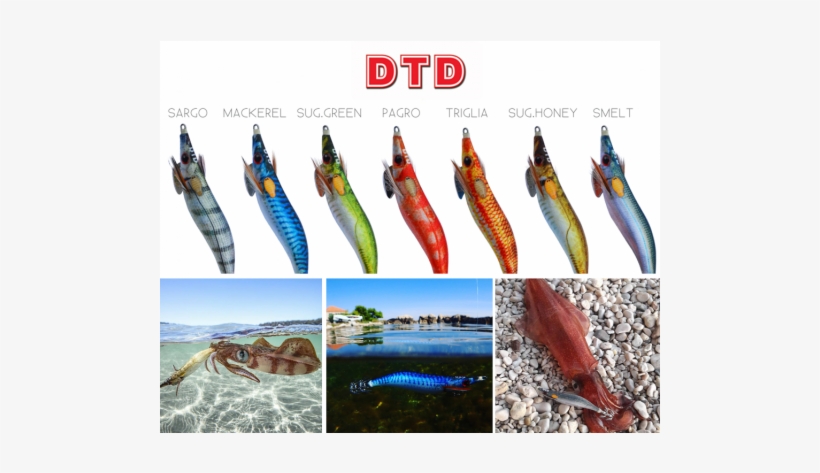 More Views - Jibioneras Dtd Real Fish Oita Sm - Dtd, transparent png #2567146