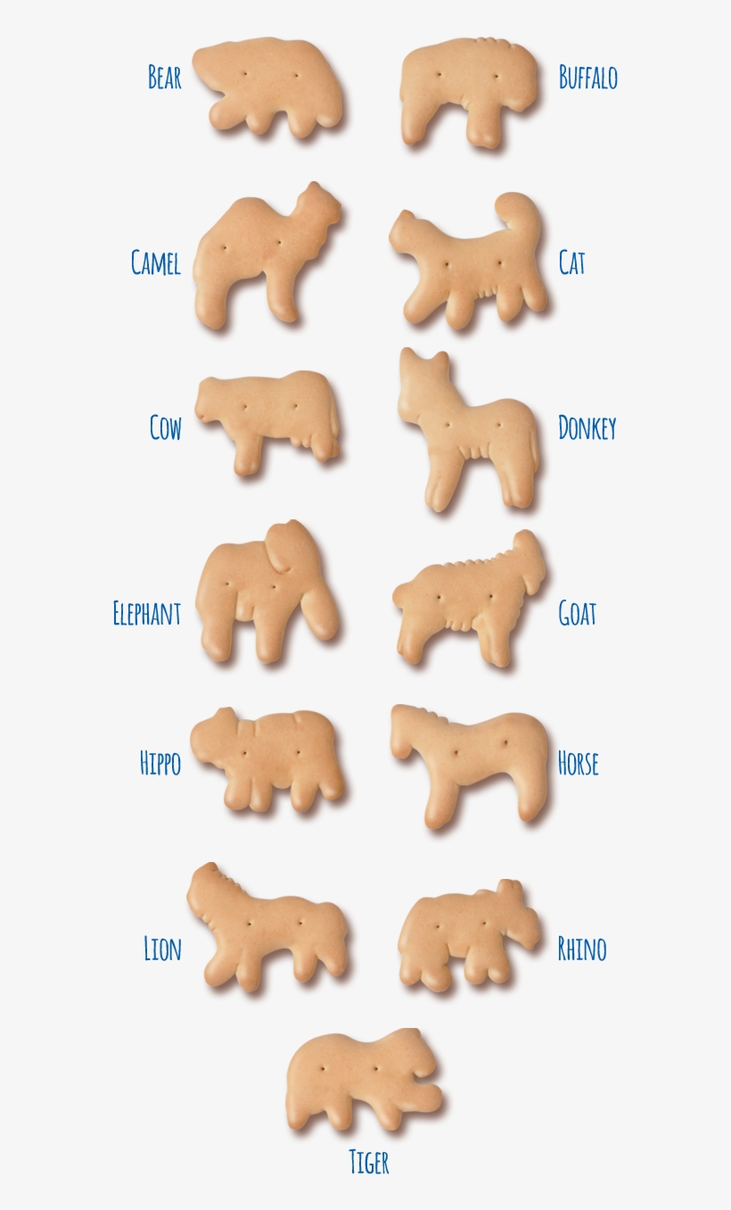 Stauffer's Animal Cracker Identifier - Animal Cracker, transparent png #2567223