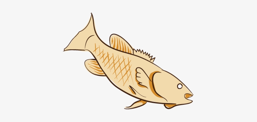 Real - Natural - Fun - - Mayodan, transparent png #2567581