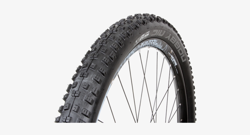 Schwalbe, transparent png #2568099